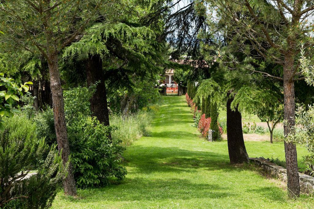 Casale Vacanze Il Granaio 코르토나 외부 사진