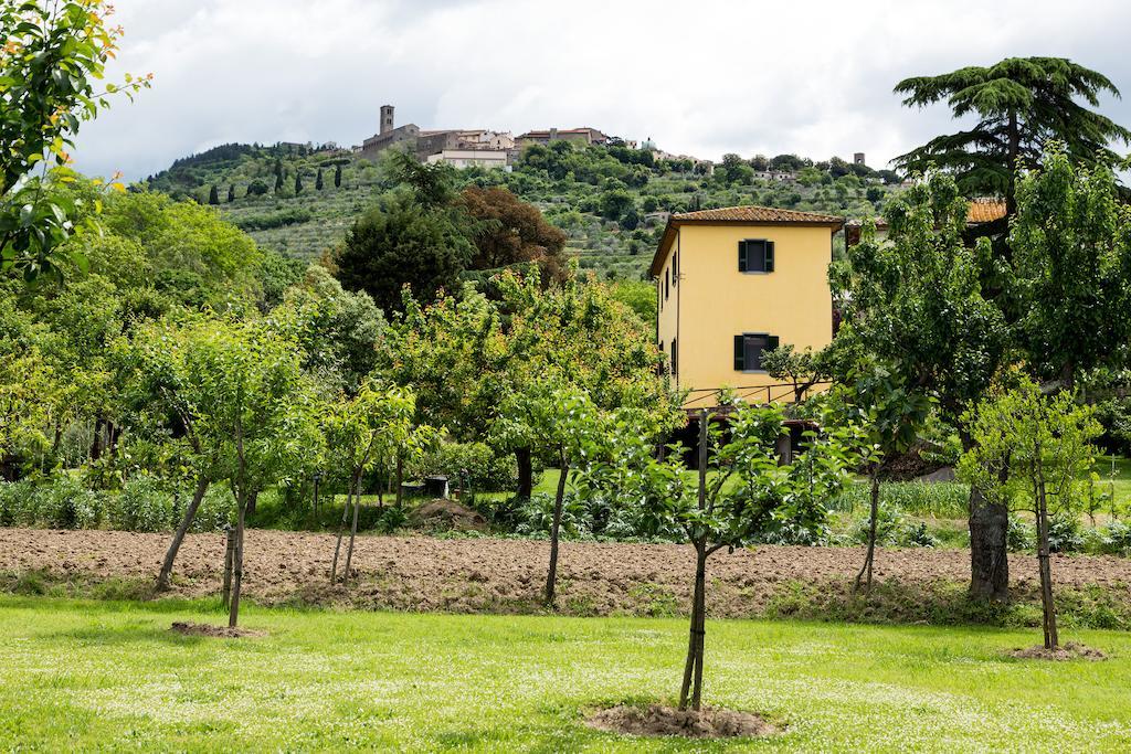 Casale Vacanze Il Granaio 코르토나 외부 사진