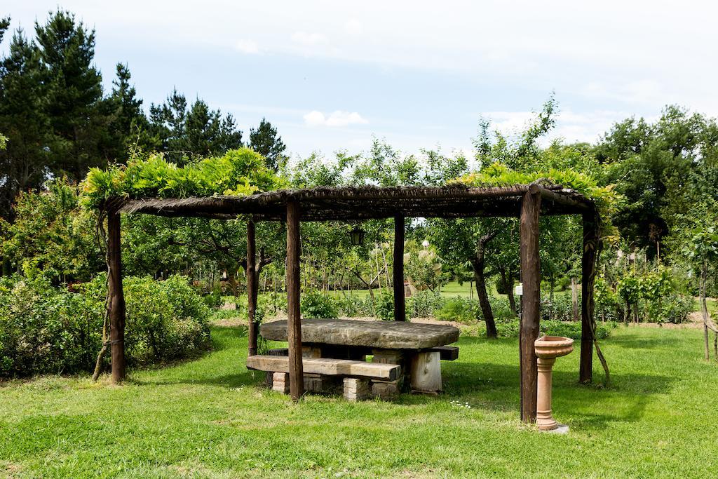 Casale Vacanze Il Granaio 코르토나 외부 사진